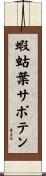 蝦蛄葉サボテン Scroll