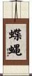 蝶蝿 Scroll