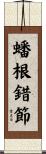 蟠根錯節 Scroll