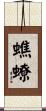 蟭蟟 Scroll
