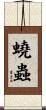 蟯蟲 Scroll