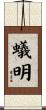 蟻明 Scroll