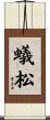 蟻松 Scroll
