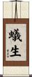 蟻生 Scroll