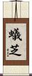 蟻芝 Scroll