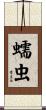 蠕虫 Scroll