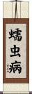 蠕虫病 Scroll