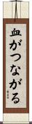 血がつながる Scroll