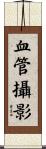 血管攝影 Scroll