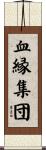 血縁集団 Scroll