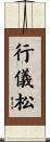 行儀松 Scroll
