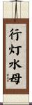 行灯水母 Scroll