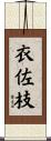 衣佐枝 Scroll