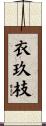 衣玖枝 Scroll