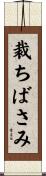 裁ちばさみ Scroll