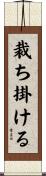 裁ち掛ける Scroll