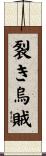 裂き烏賊 Scroll