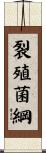 裂殖菌綱 Scroll