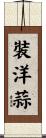 裝洋蒜 Scroll
