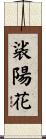 裟陽花 Scroll
