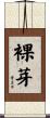 裸芽 Scroll