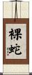 裸蛇 Scroll