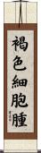 褐色細胞腫 Scroll