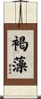 褐藻 Scroll