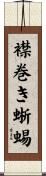 襟巻き蜥蜴 Scroll