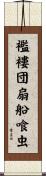 襤褸団扇船喰虫 Scroll