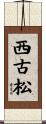 西古松 Scroll