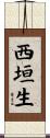 西垣生 Scroll