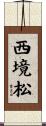 西境松 Scroll