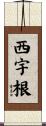 西宇根 Scroll