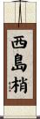 西島梢 Scroll