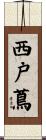 西戸蔦 Scroll
