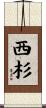西杉 Scroll