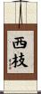 西枝 Scroll