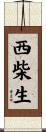 西柴生 Scroll