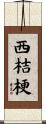 西桔梗 Scroll