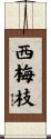西梅枝 Scroll