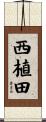 西植田 Scroll