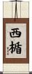 西楯 Scroll