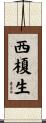 西榎生 Scroll