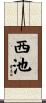 西池 Scroll