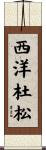 西洋杜松 Scroll
