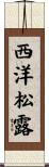 西洋松露 Scroll