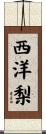 西洋梨 Scroll