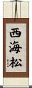 西海松 Scroll