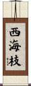 西海枝 Scroll